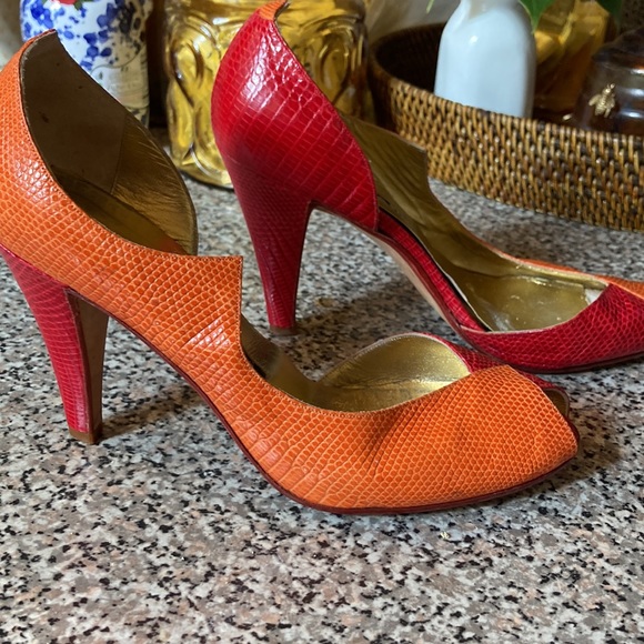 COLORFUL AND STUNNING! LIZARD AT ITS BEST! - Picture 2 of 6